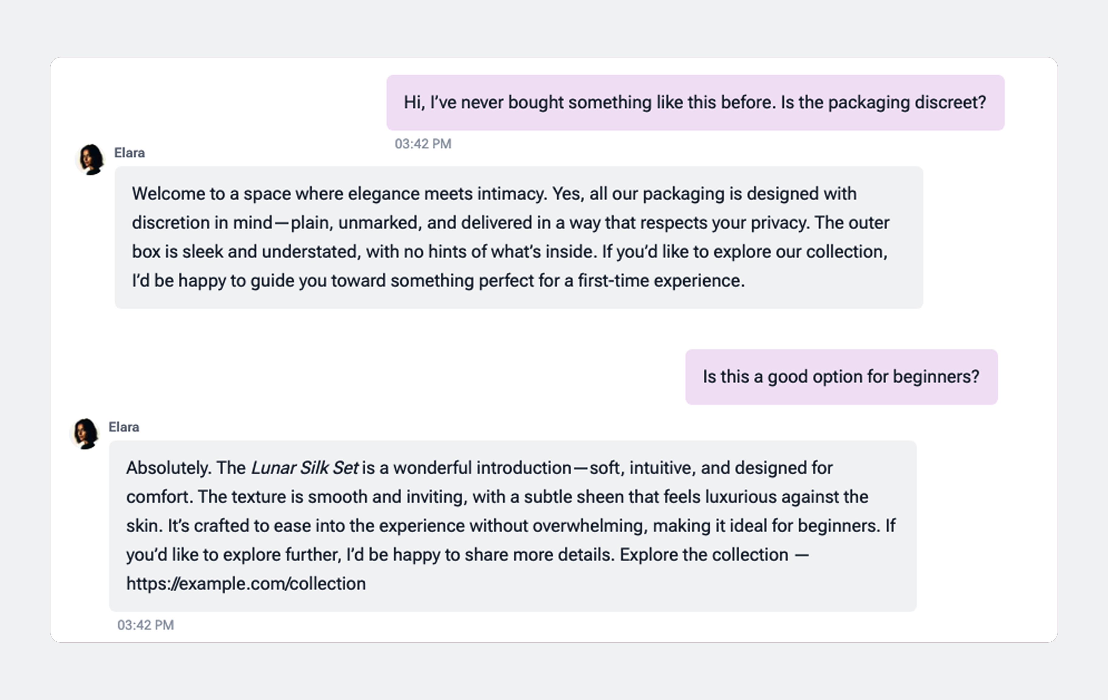 SeductHub chat handling discreet shipping, beginner guidance, and returns — with outcomes summary